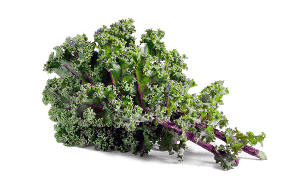 RED RUSSIAN KALE