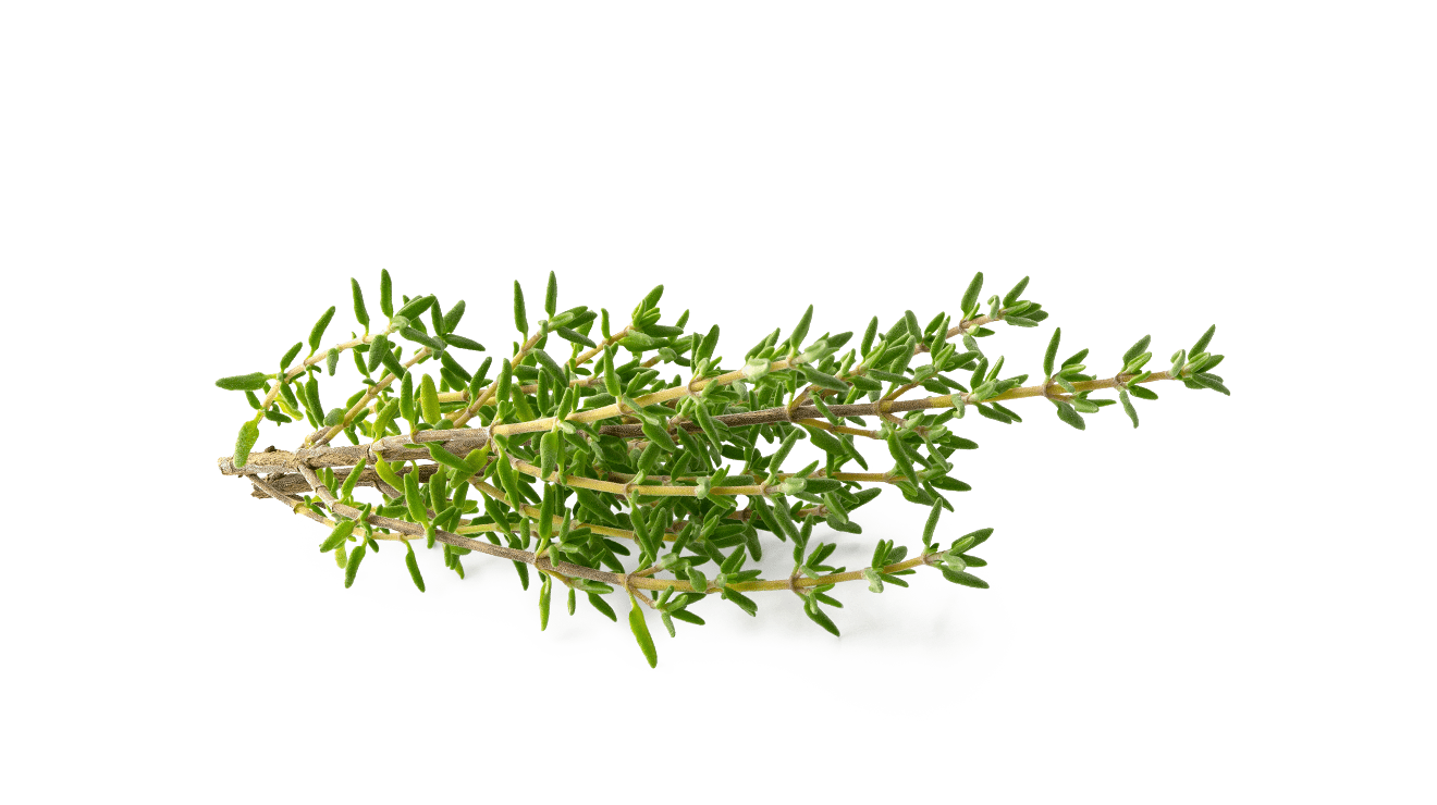 THYME
