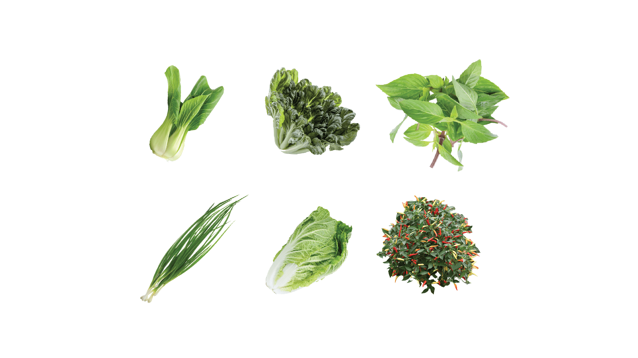 STIR FRY BUNDLE
